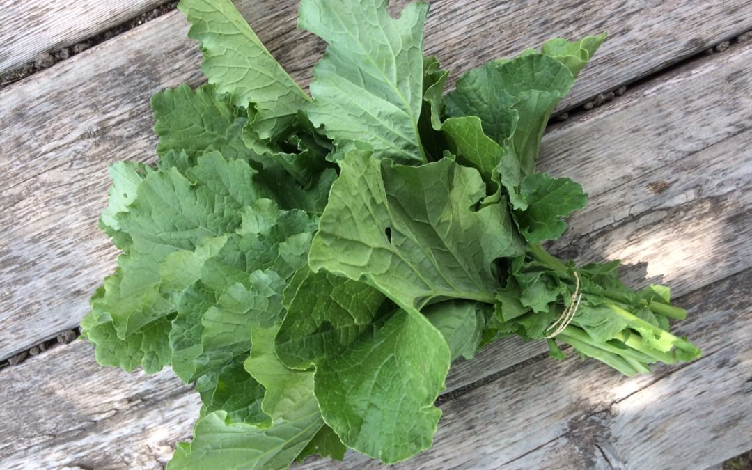 Farm Recipes Week 3: Introducing Broccoli Rabe
