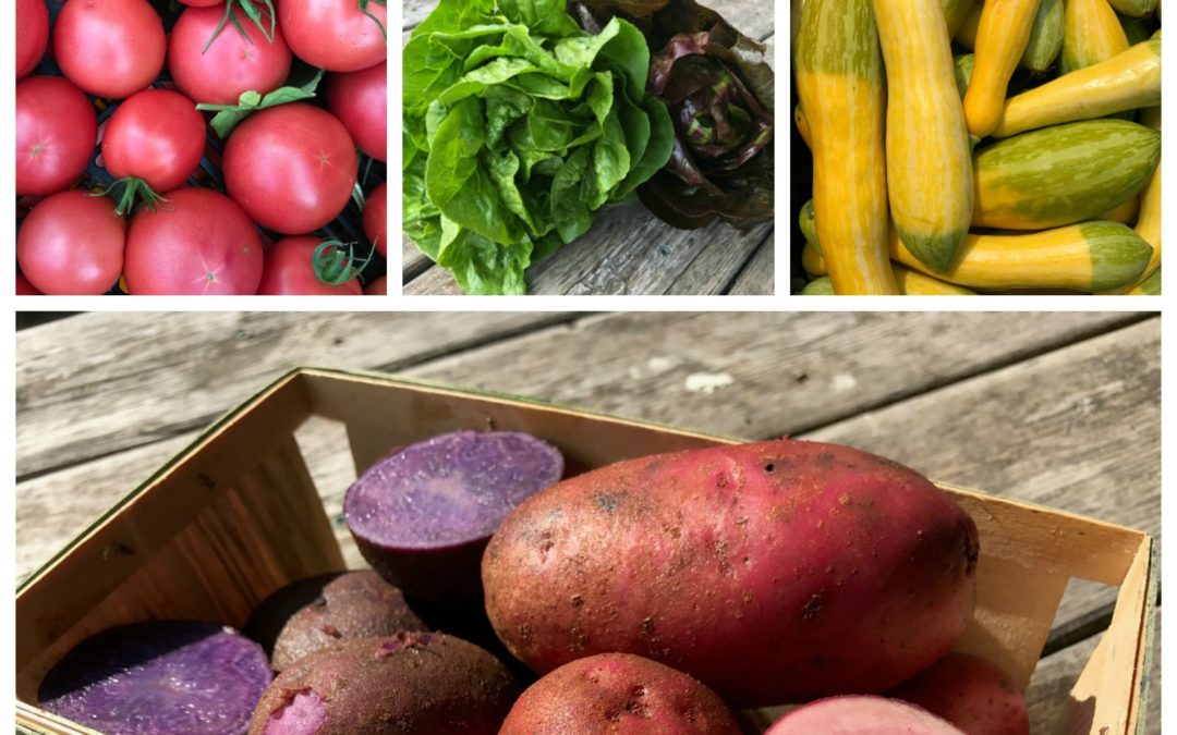 Farm Recipes Week 13: Adirondack Potatoes & Summer Salads