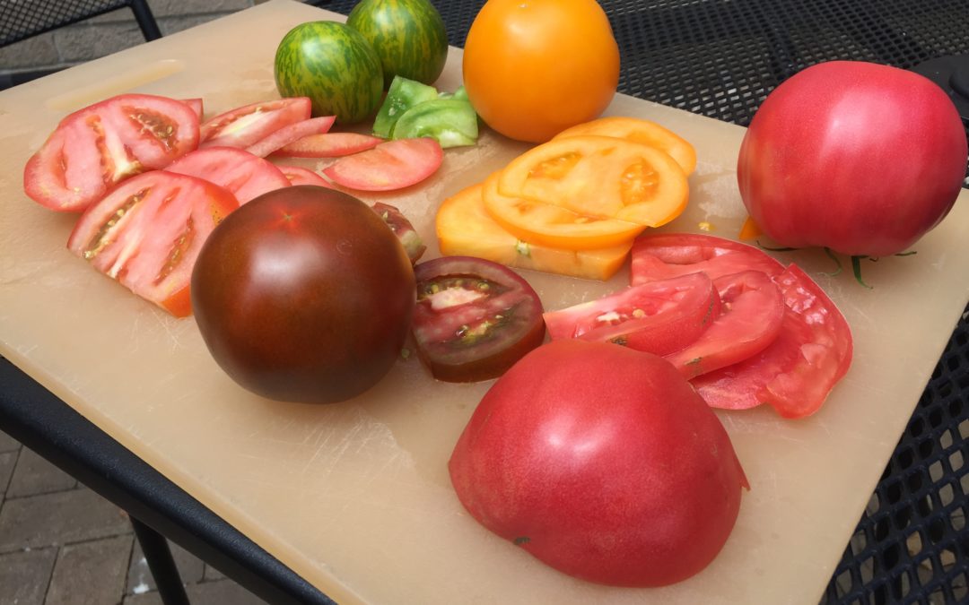 Veggie Talks: Tomatoes