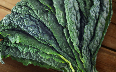 Veggie of the Week: Dino Kale